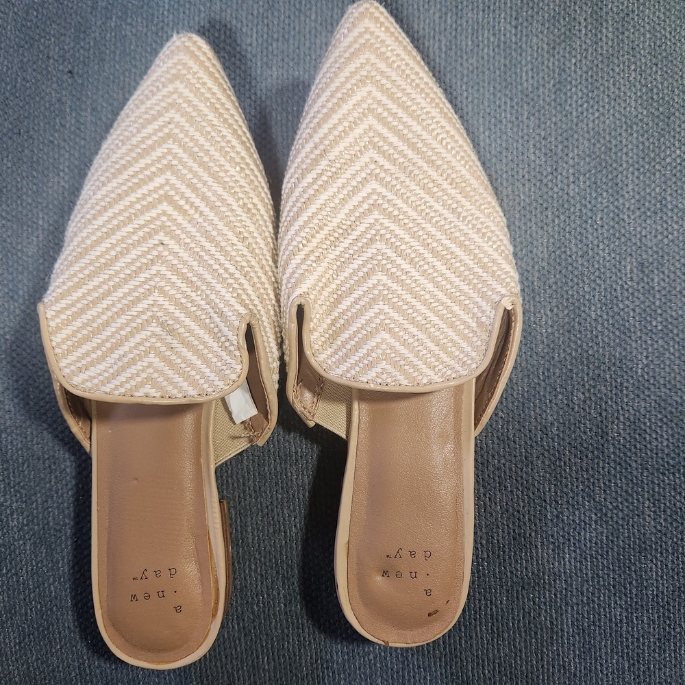 Pointed Tan Slip-on Sandals